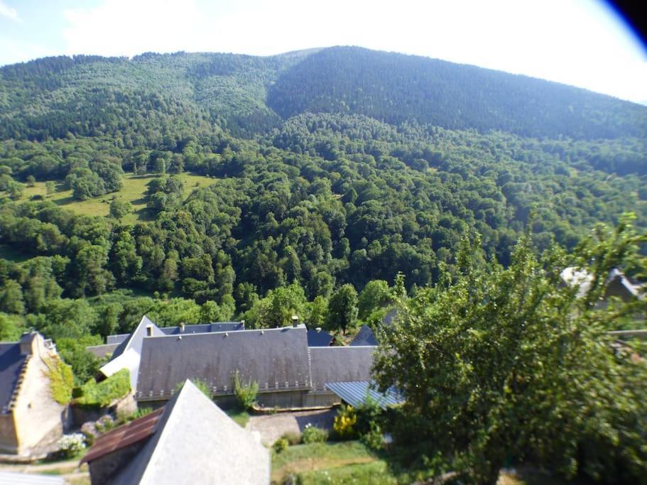 Maison Familiale Pour 8 Saint-Aventin Екстериор снимка