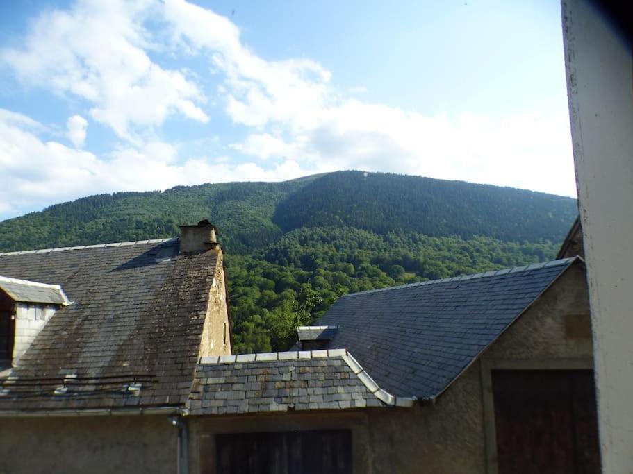 Maison Familiale Pour 8 Saint-Aventin Екстериор снимка